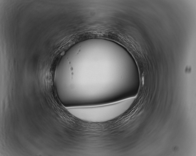 X0000100841347200806200728