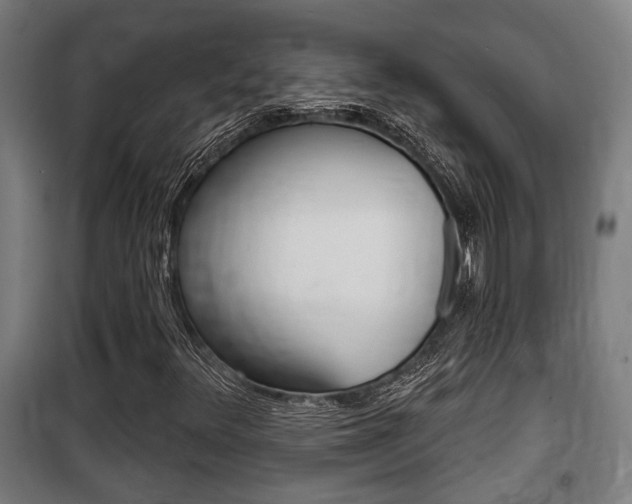 X0000100841348200806200728