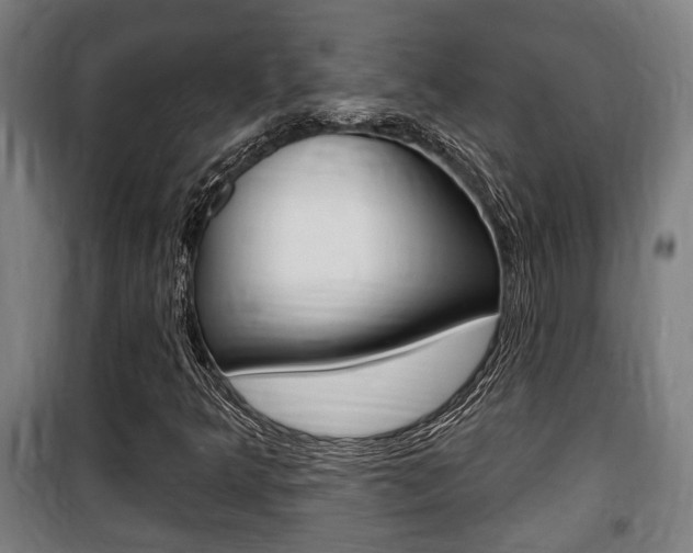 X0000100841349200806200728