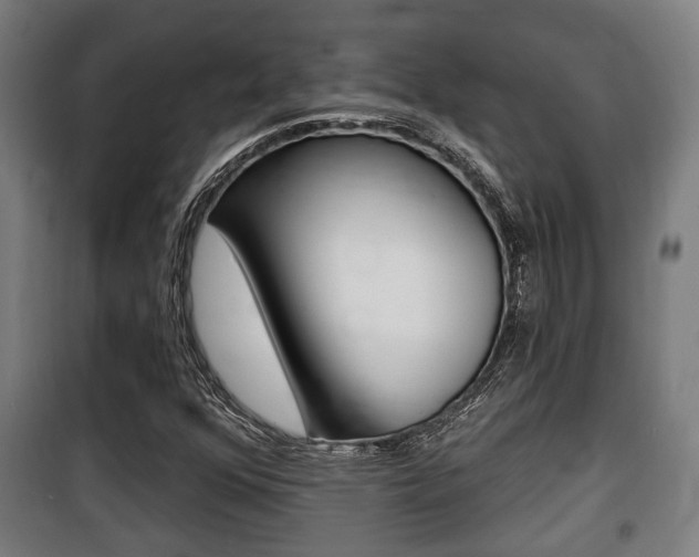 X0000100841352200806200728