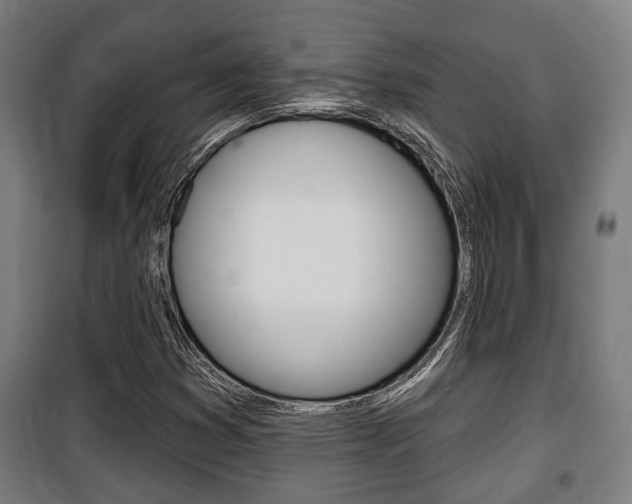 X0000100841353200806200728