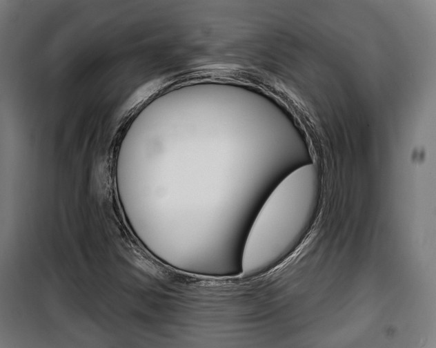 X0000100841354200806200728