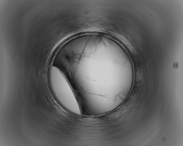 X0000100841356200806200728