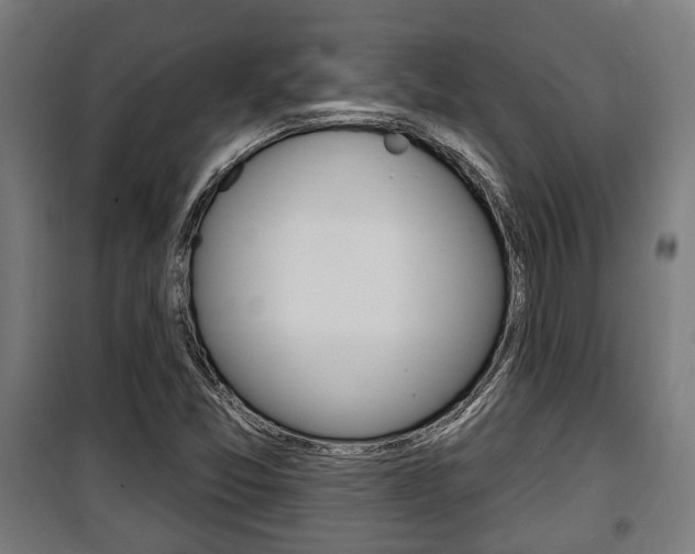 X0000100841357200806200728