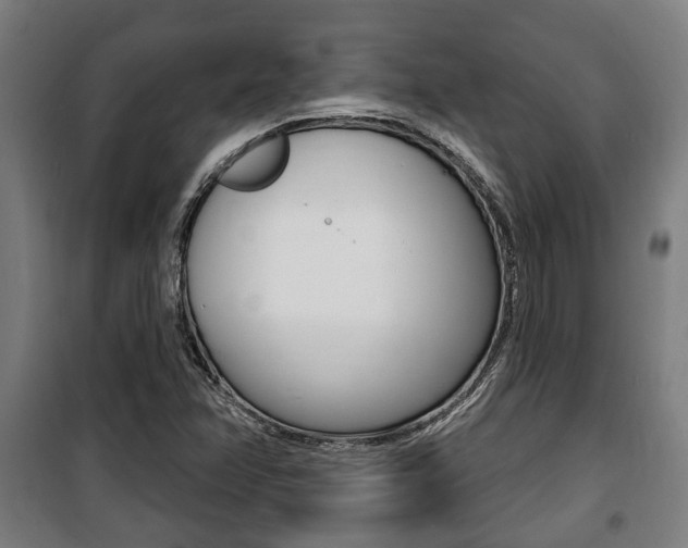 X0000100841358200806200728