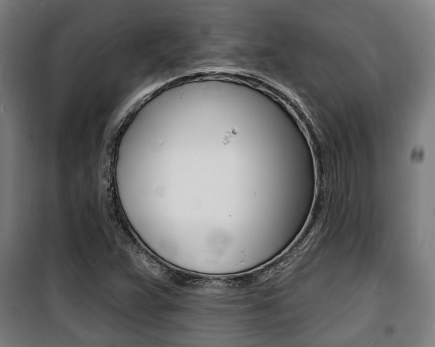 X0000100841359200806200728