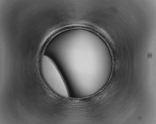 X0000100841360200806200728