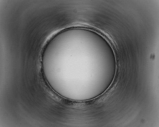 X0000100841363200806200728