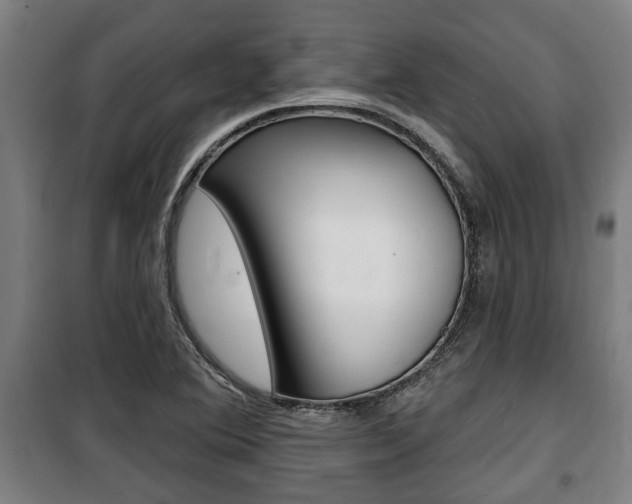 X0000100841364200806200728