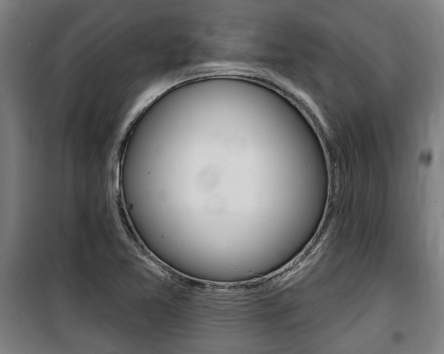X0000100841365200806200728