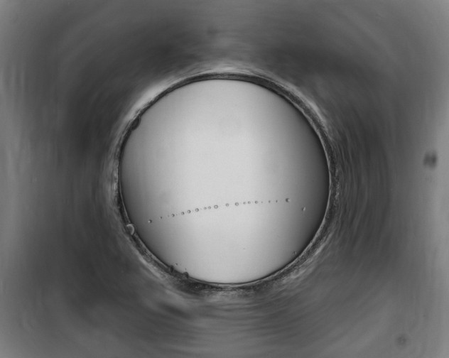 X0000100841367200806200728