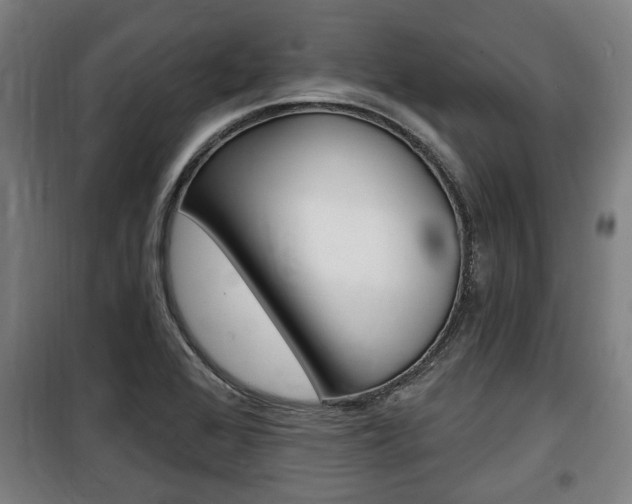 X0000100841368200806200728