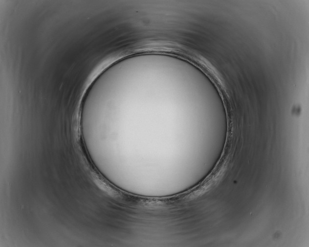 X0000100841370200806200728