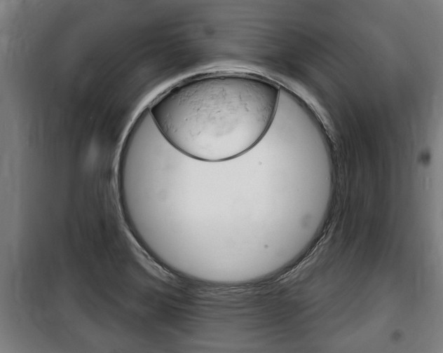 X0000100841372200806200728