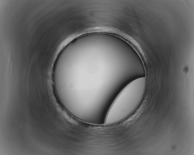 X0000100841373200806200728