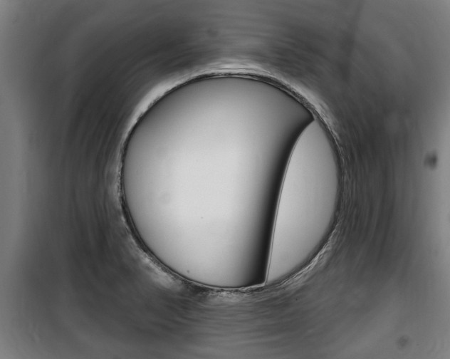 X0000100841374200806200728