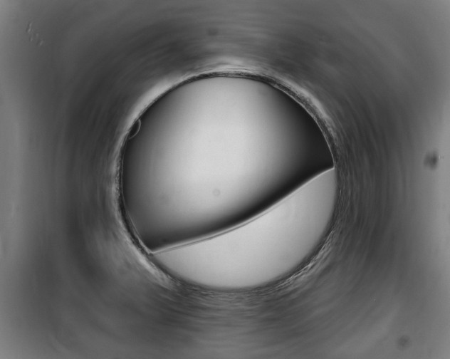 X0000100841375200806200728