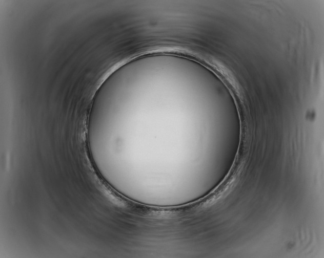 X0000100841377200806200728