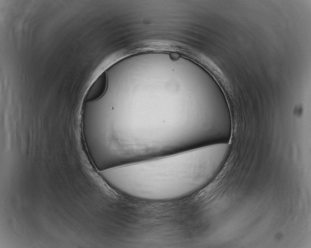 X0000100841378200806200728