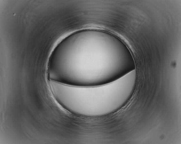 X0000100841379200806200728