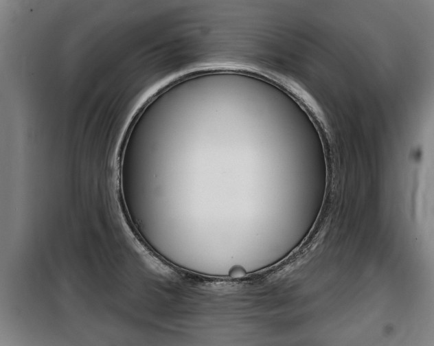 X0000100841380200806200728