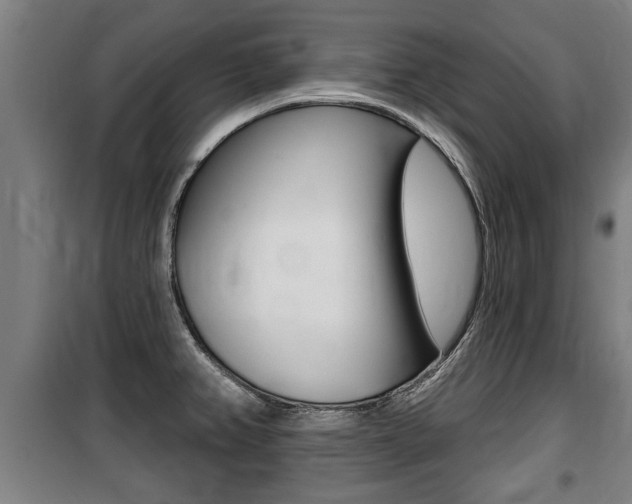 X0000100841382200806200728