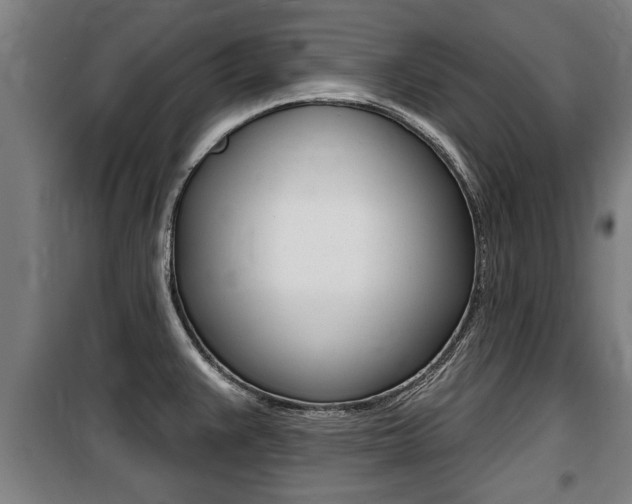 X0000100841383200806200728