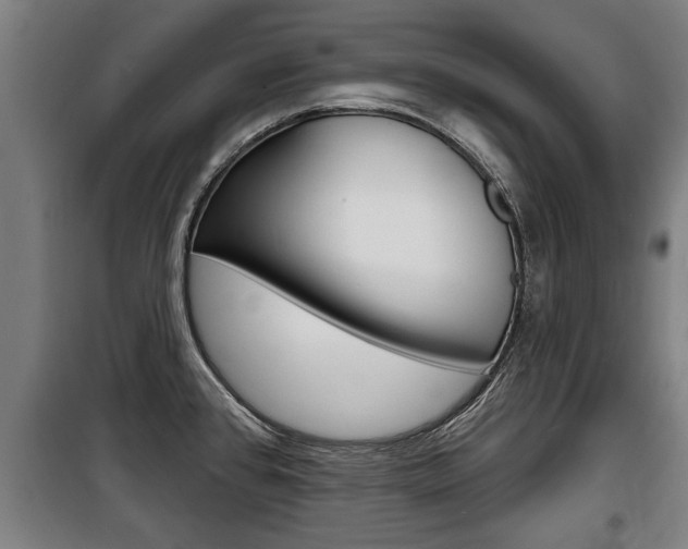 X0000100841384200806200728