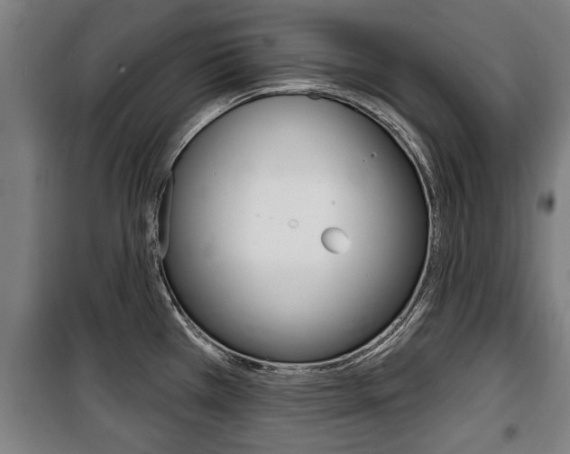 X0000100841385200806200728