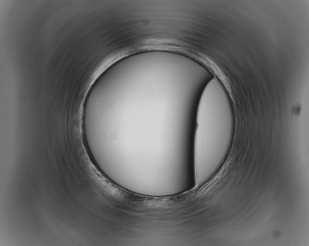 X0000100841386200806200728