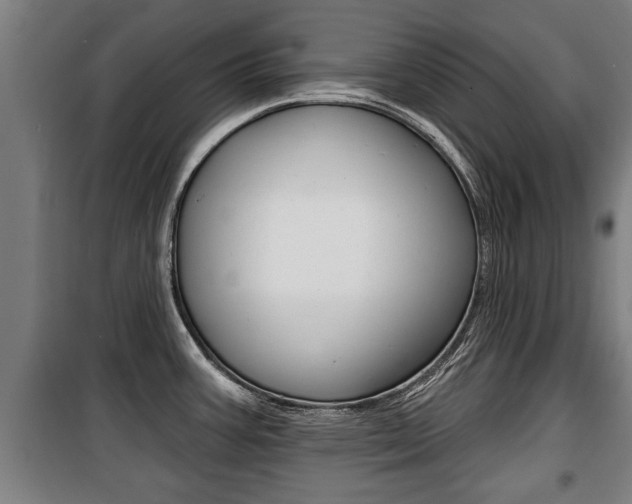 X0000100841387200806200728