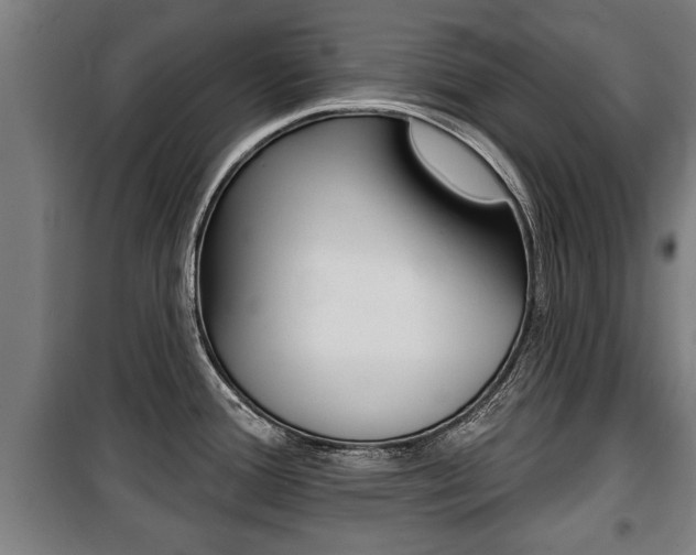 X0000100841388200806200728