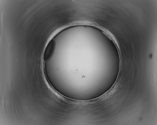 X0000100841389200806200728