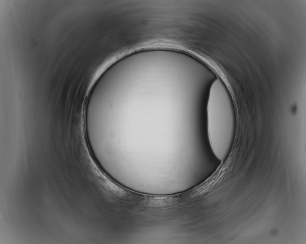 X0000100841390200806200728