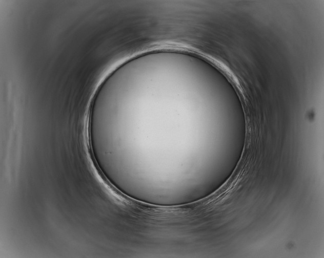 X0000100841391200806200728