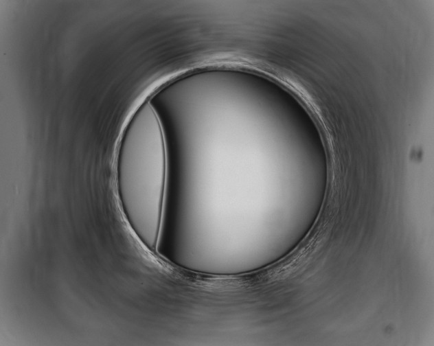 X0000100841392200806200728