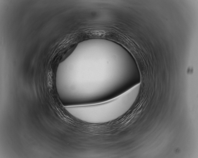 X0000100841394200806200727