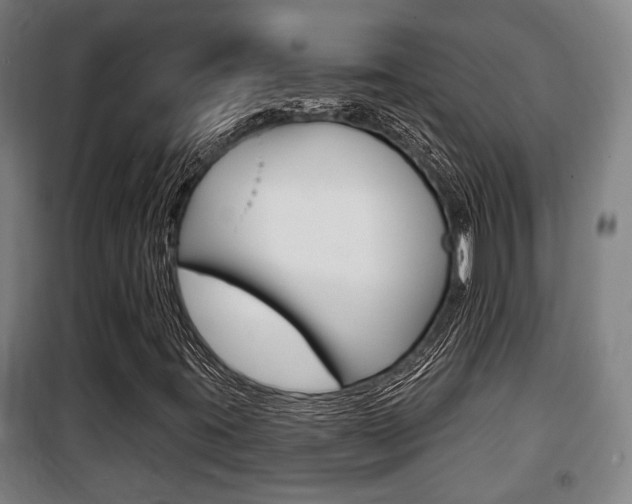 X0000100841395200806200727