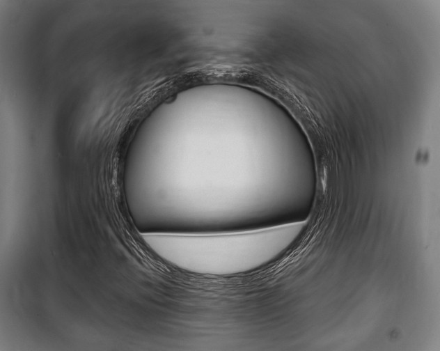X0000100841396200806200727