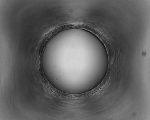 X0000100841398200806200727