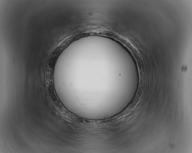 X0000100841399200806200727