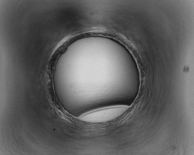 X0000100841400200806200727