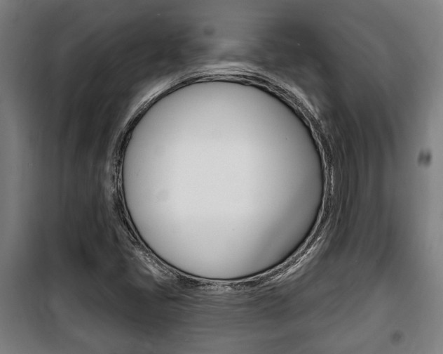 X0000100841405200806200727