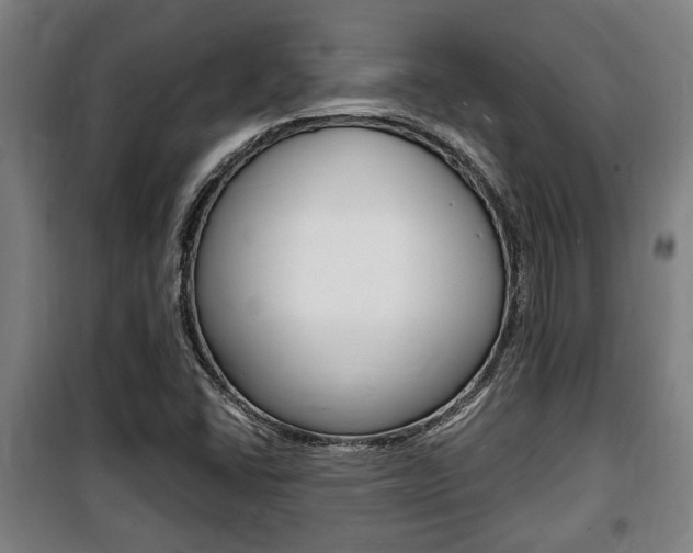 X0000100841406200806200727
