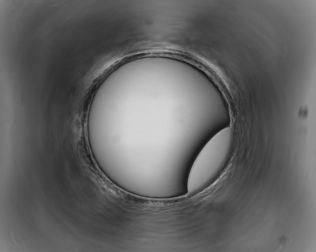 X0000100841407200806200727