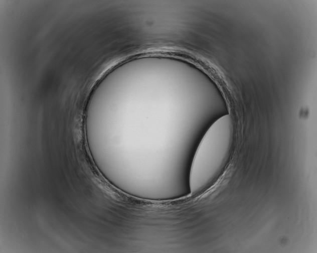 X0000100841409200806200727