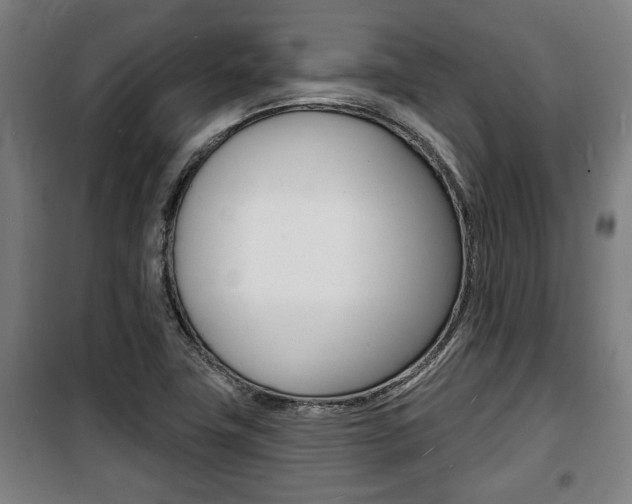 X0000100841411200806200727