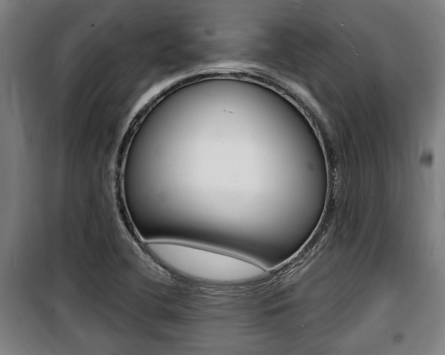 X0000100841412200806200727