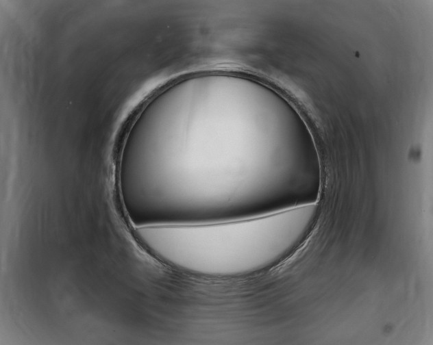 X0000100841414200806200727