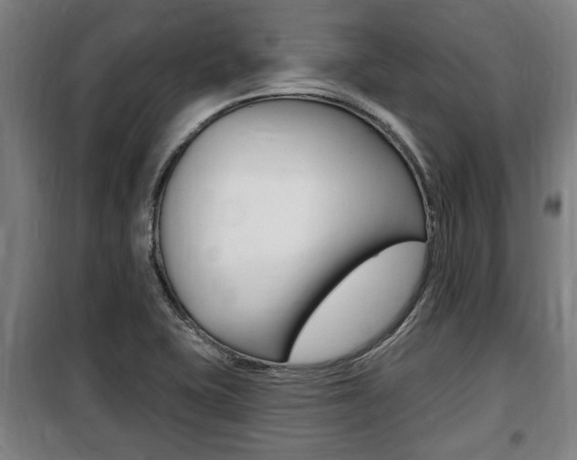 X0000100841415200806200727